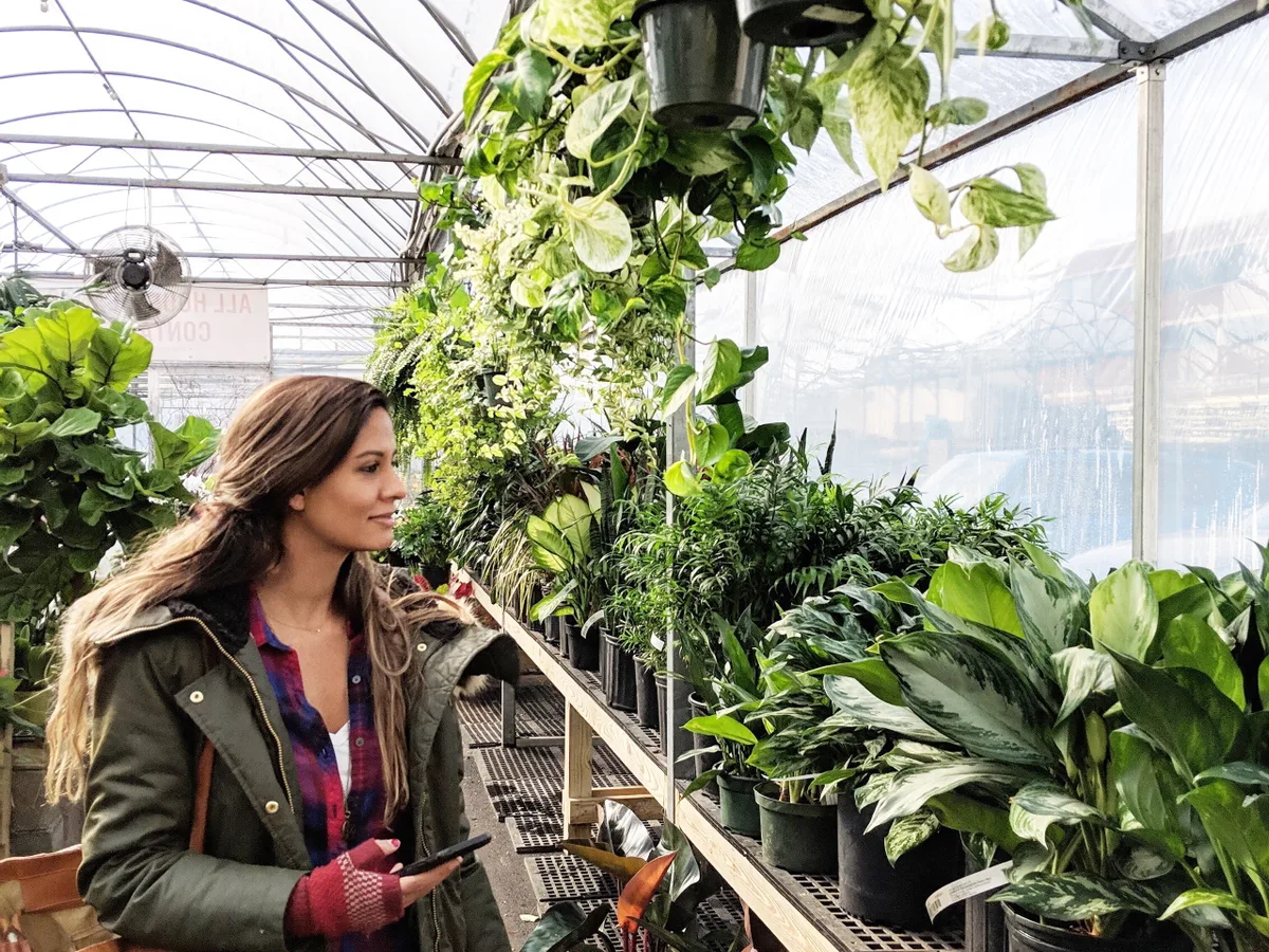 Phoenix & Rose feng shui consultant in a greenhouse